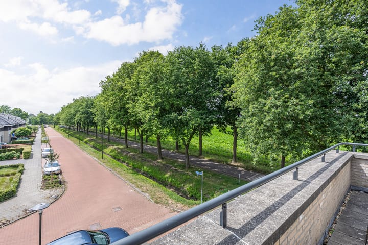 Foto 45 van Bunzinghage 1