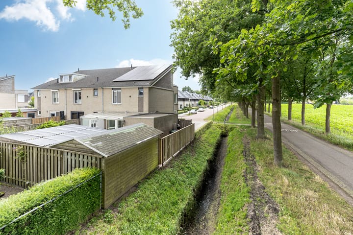 Foto 51 van Bunzinghage 1