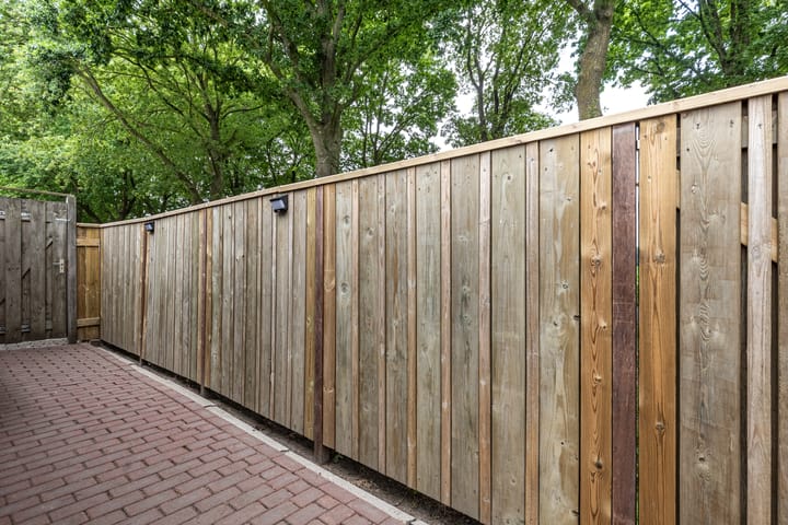 Foto 55 van Bunzinghage 1