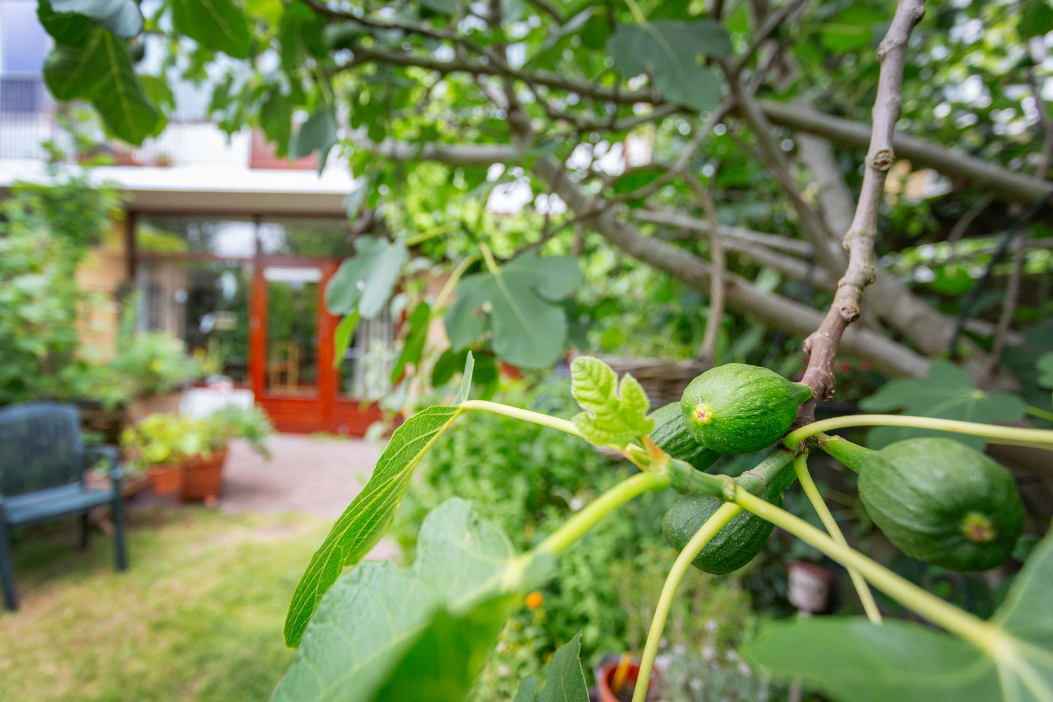 Foto 21 van Kamerlingh Onneslaan 80