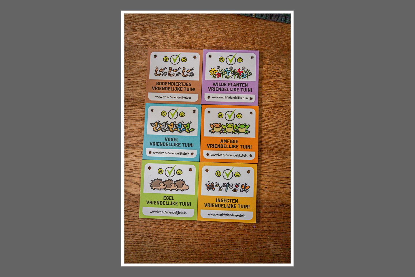 Foto 25 van Kamerlingh Onneslaan 80