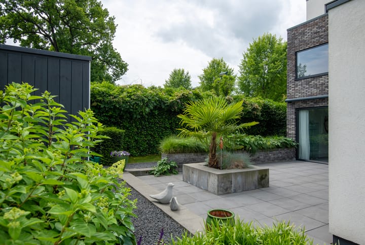 Foto 46 van Vlasbekje 7