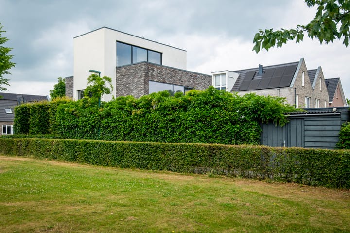 Foto 49 van Vlasbekje 7