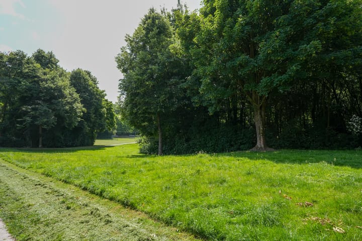 Photo 22 of Iepenstraat 32