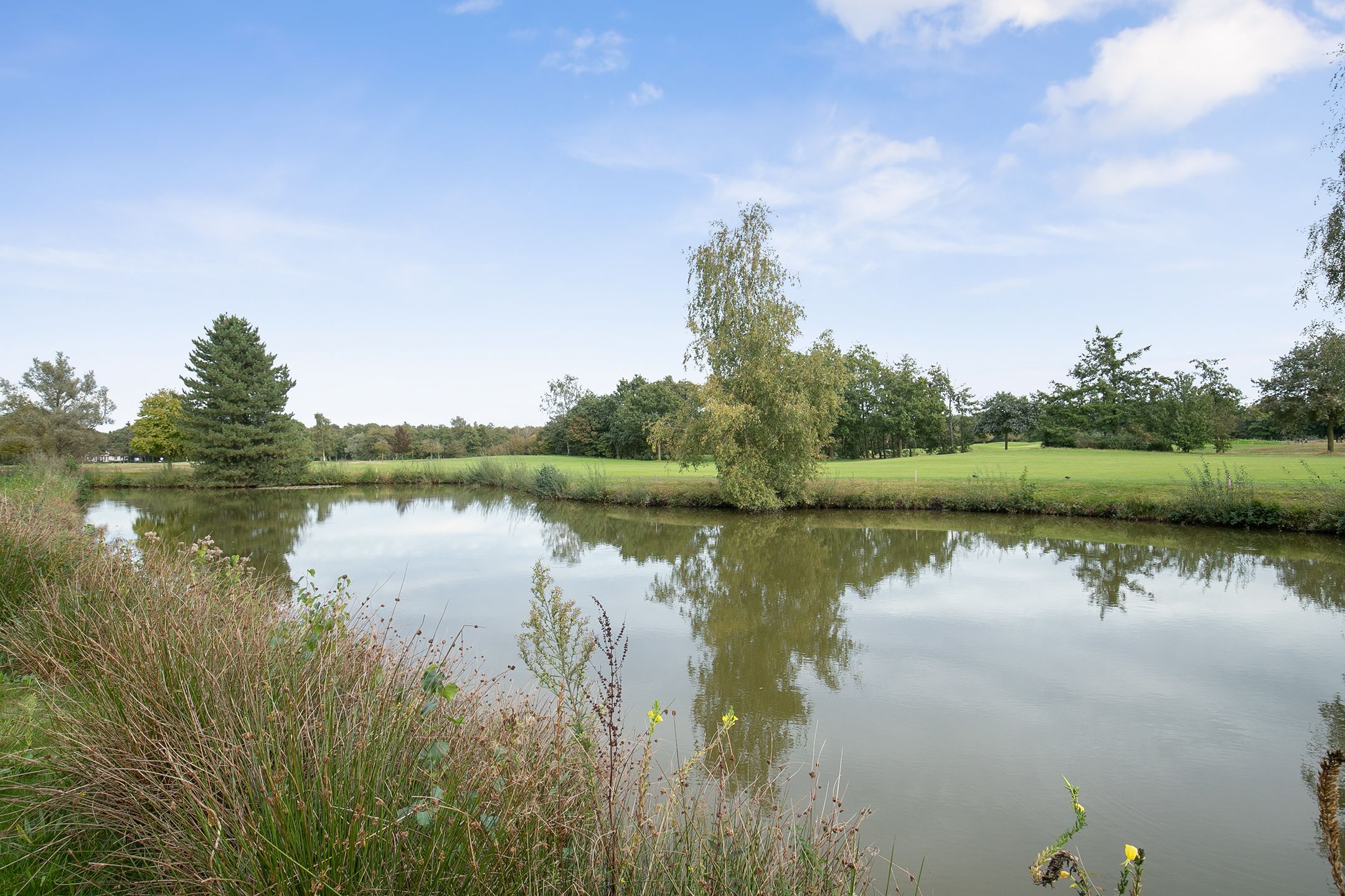 Foto 30 van Patrijslaan 5-K