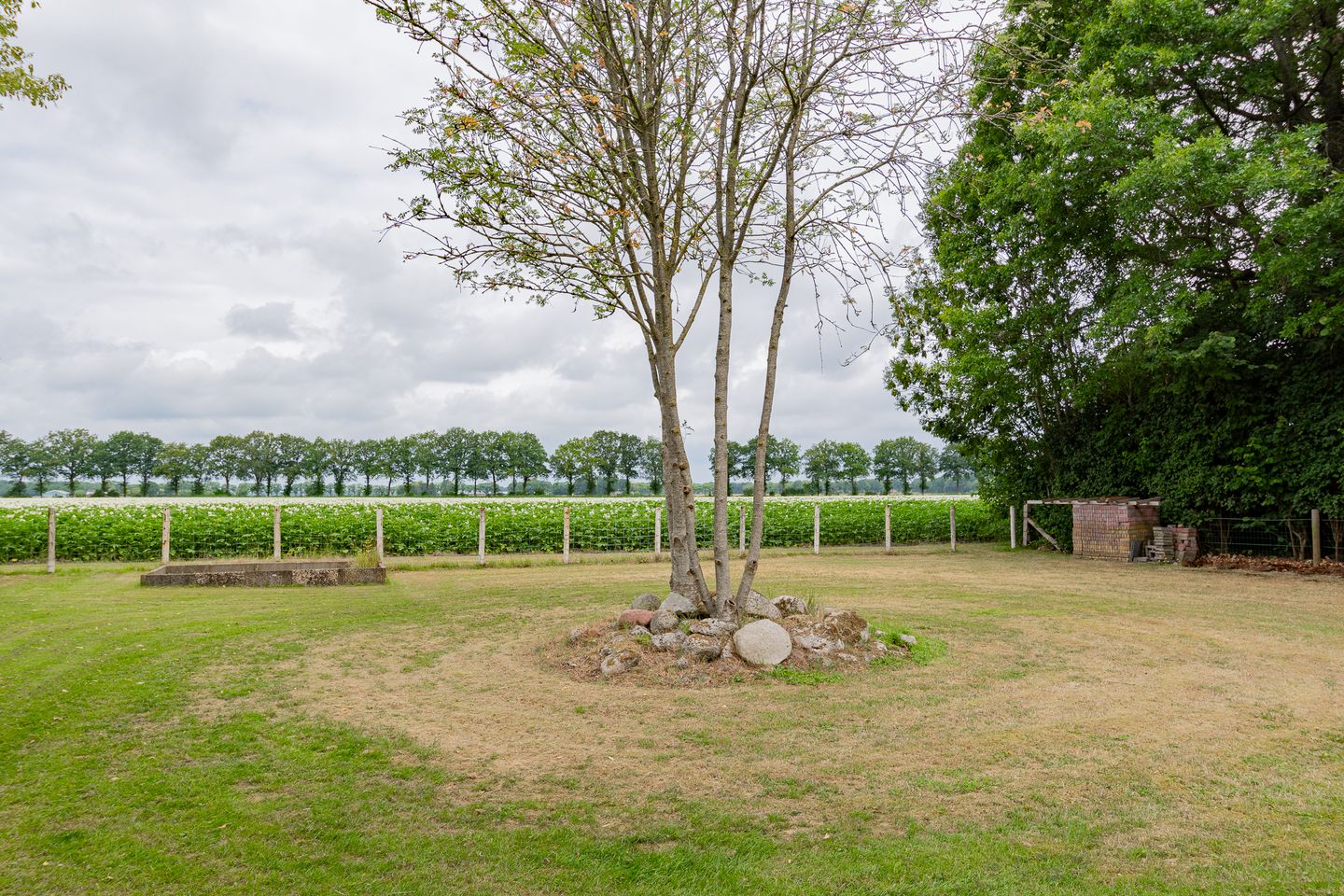 Photo 59 of 't Haantje 62-B