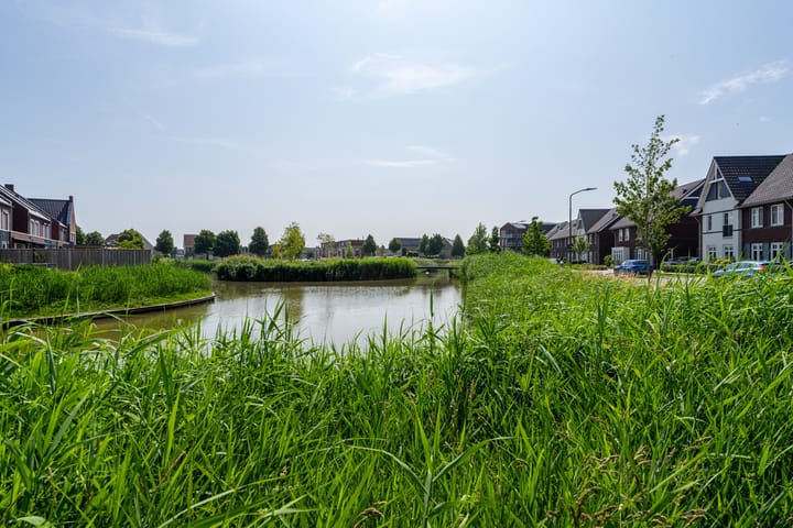 Foto 4 van Boomgaard 37