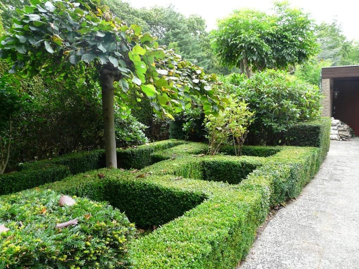 Foto 21 van Vondelstraat 26