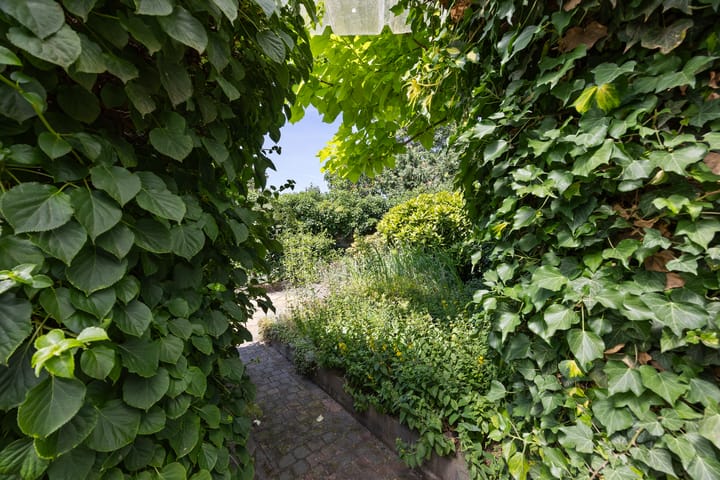 Foto 31 van Vennestraat 13