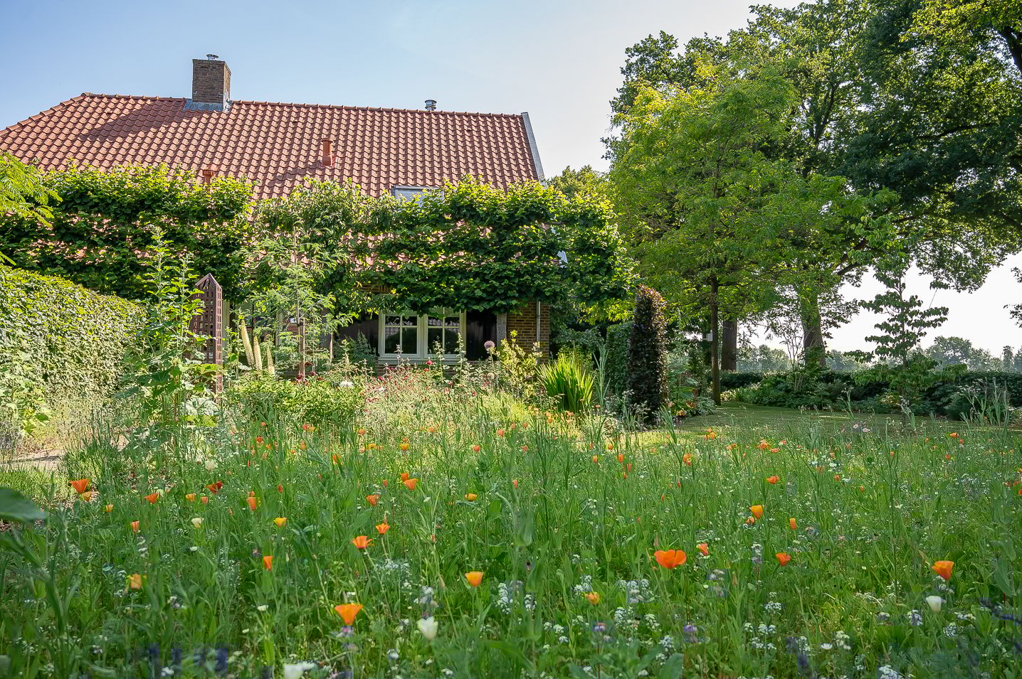 Foto 6 van Halle-Heideweg 26-A