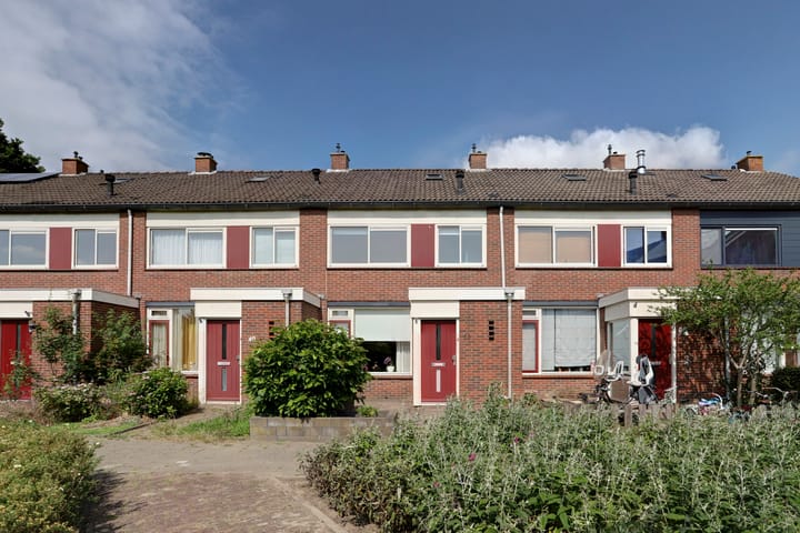 undefined main image