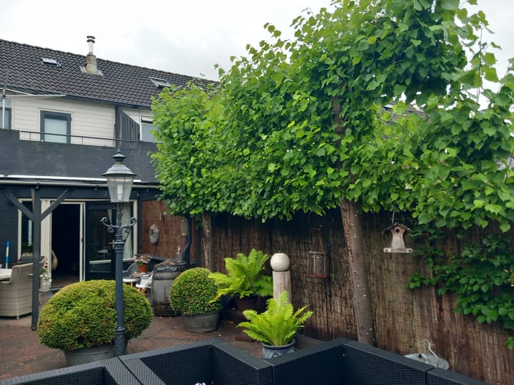 Foto 34 van Kleine Steenkamp 6