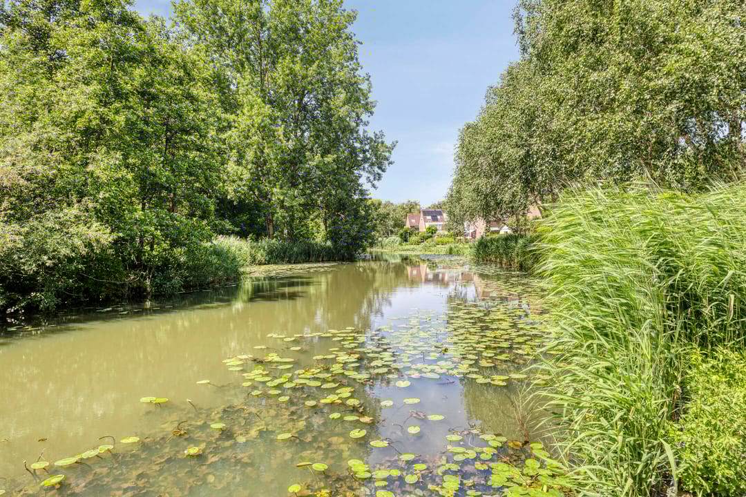 Foto 37 van Wittenstein 200