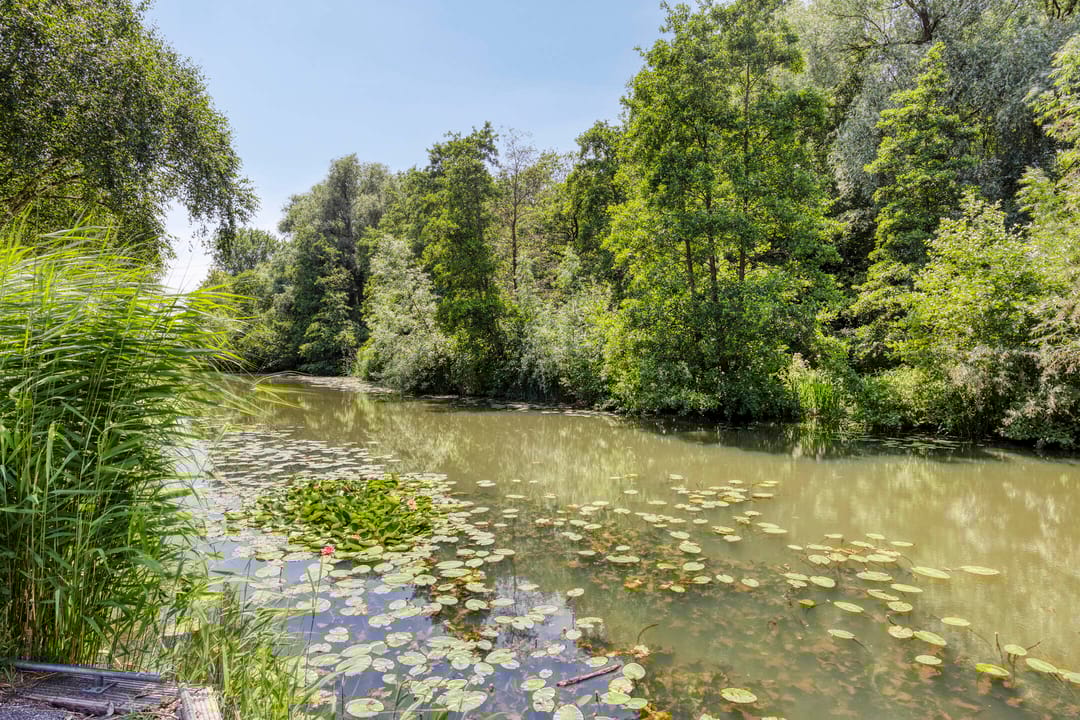 Foto 38 van Wittenstein 200