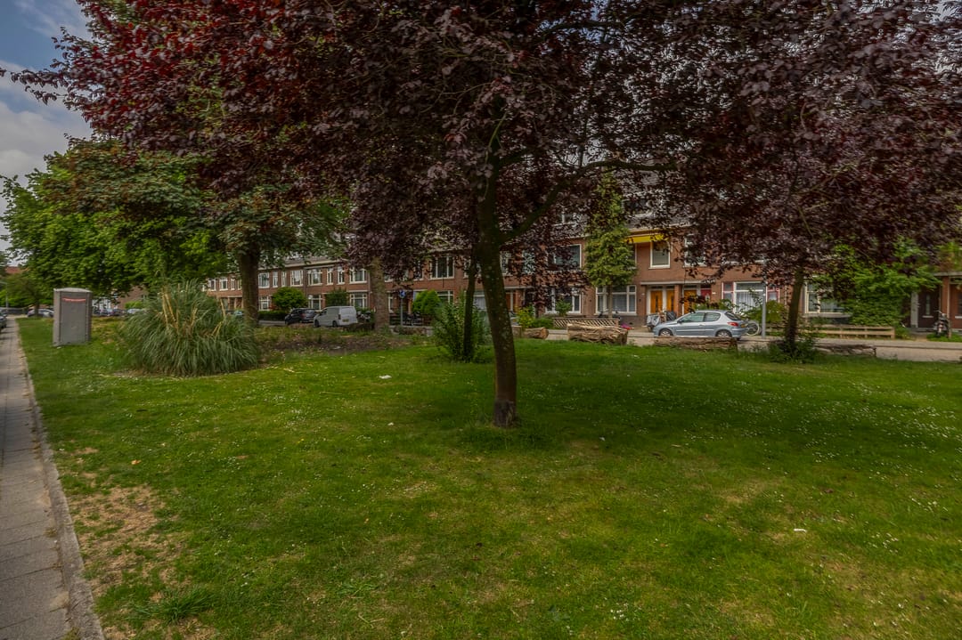 Foto 26 van De Quackstraat 42-B