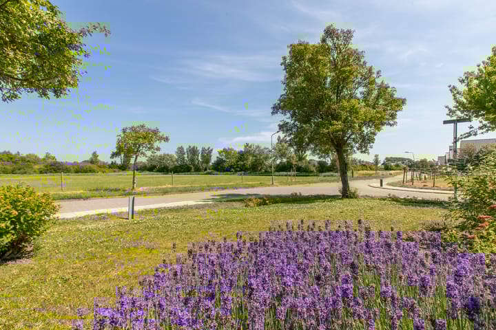 Foto 31 van Westerscheldelaan 1