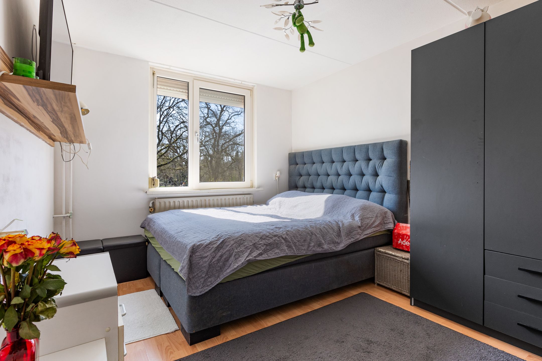 Foto 12 van Karel V-laan 52