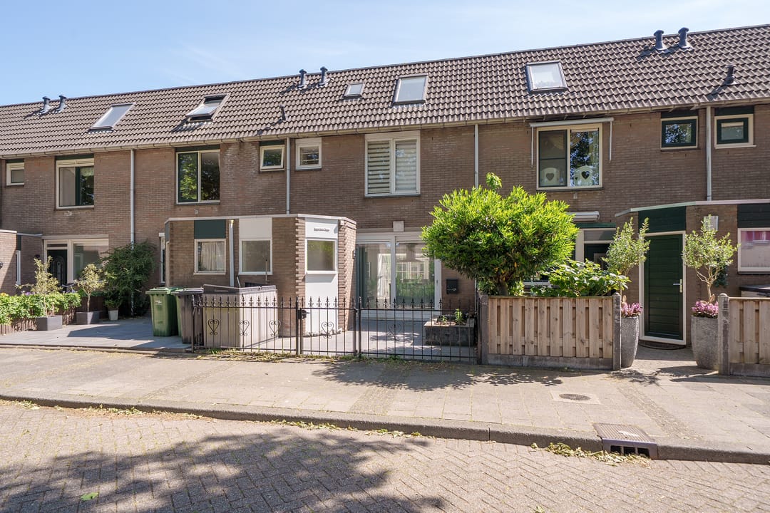 Foto 1 van Gemshoorn 20