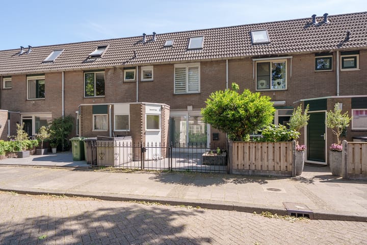 Foto 1 van Gemshoorn 20