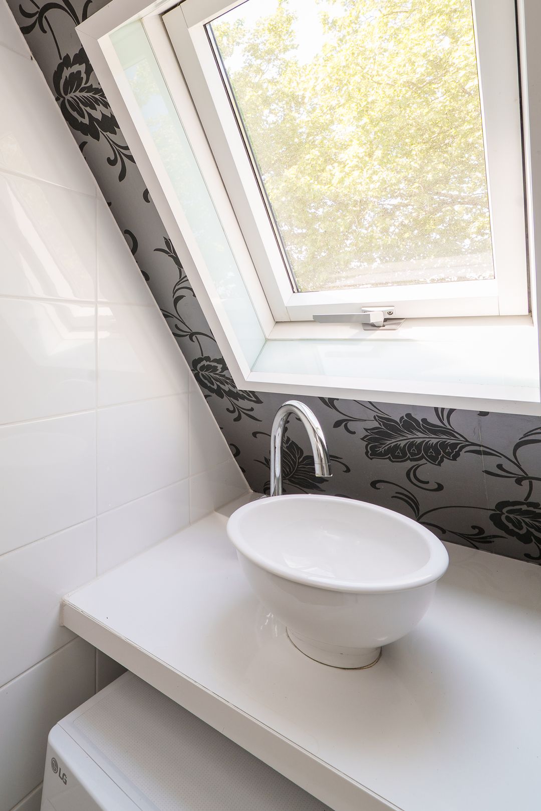 Foto 28 van Gemshoorn 20