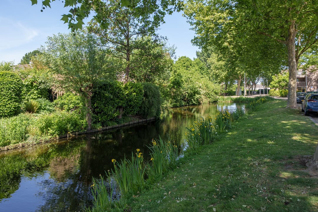 Foto 38 van Gemshoorn 20