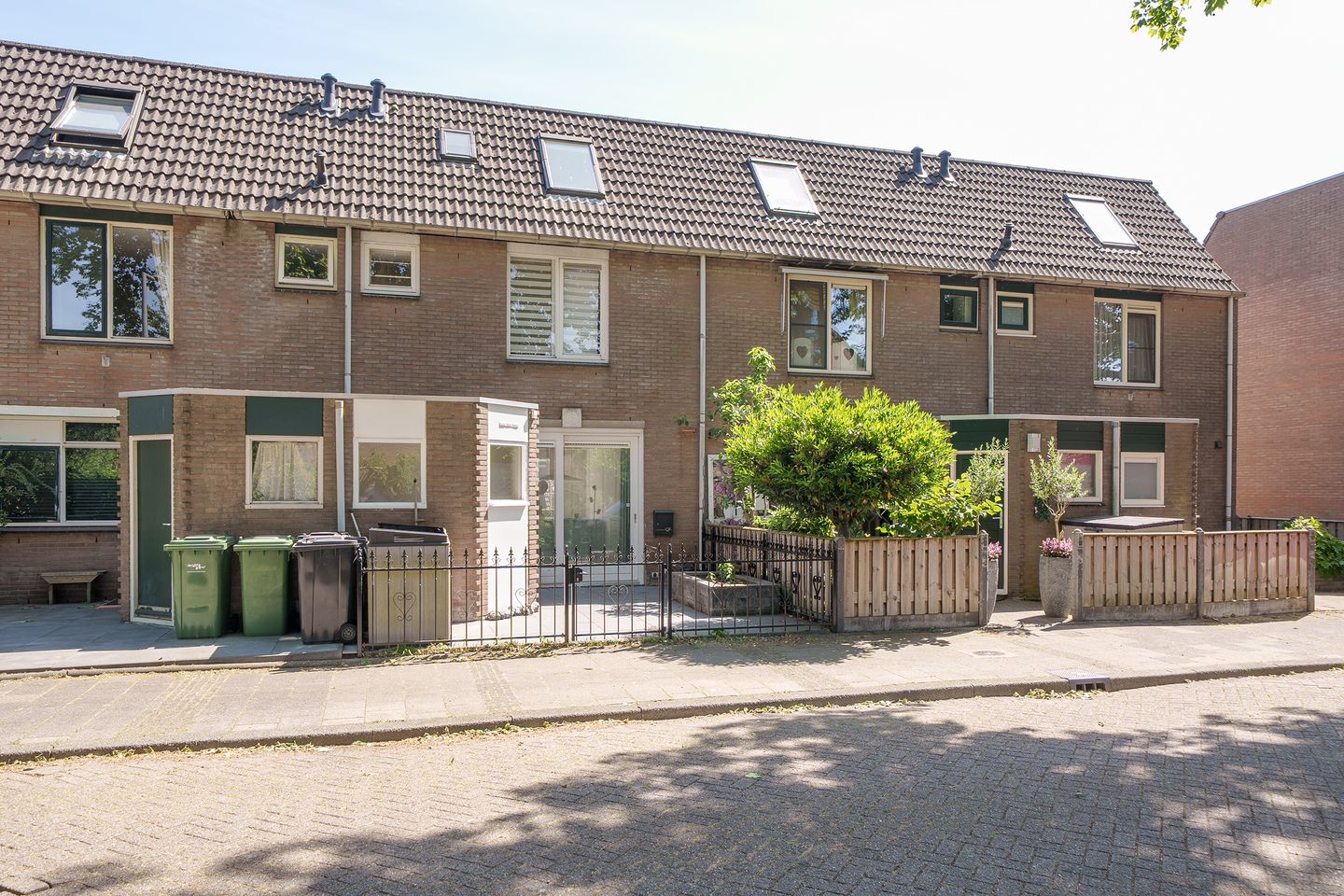 Foto 40 van Gemshoorn 20