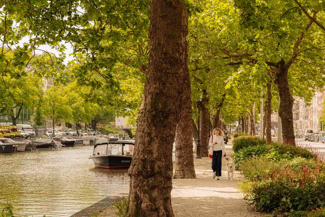 Foto 32 van Frederik Hendrikplantsoen 1-H