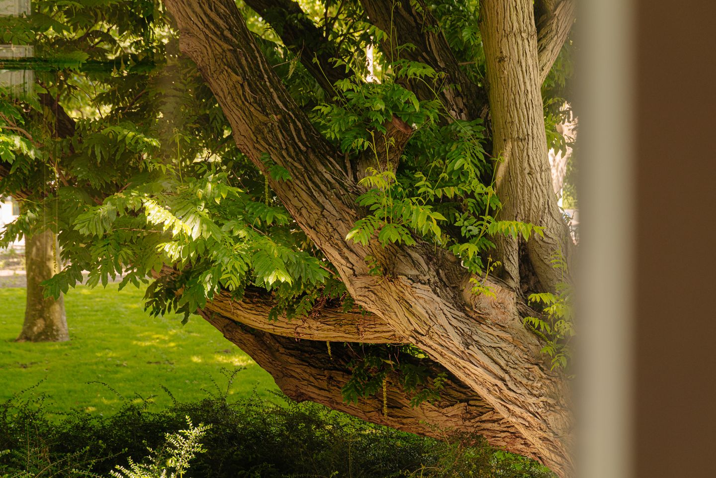 Foto 34 van Frederik Hendrikplantsoen 1-H