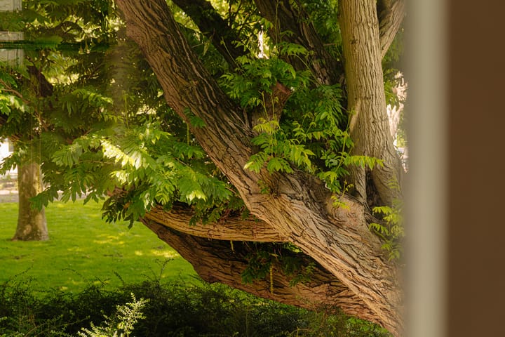 Foto 34 van Frederik Hendrikplantsoen 1-H