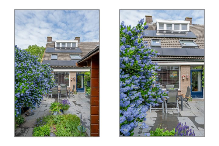 Foto 3 van Strocamp 63