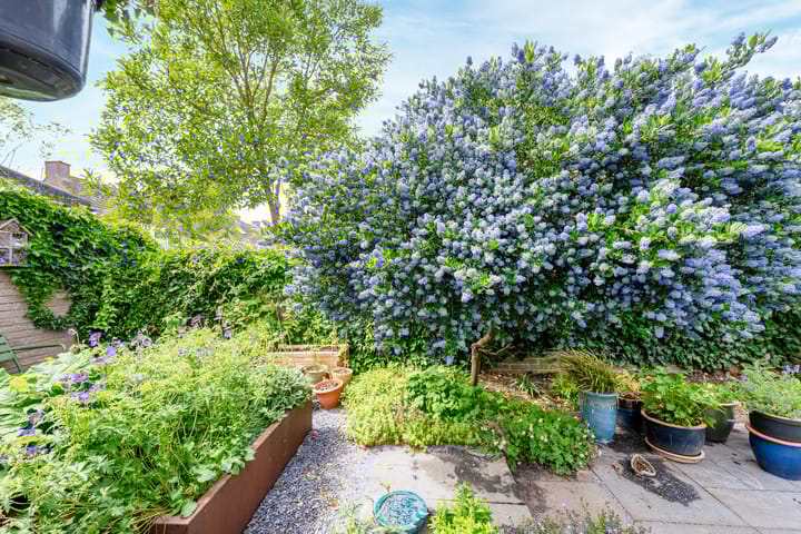 Foto 14 van Strocamp 63