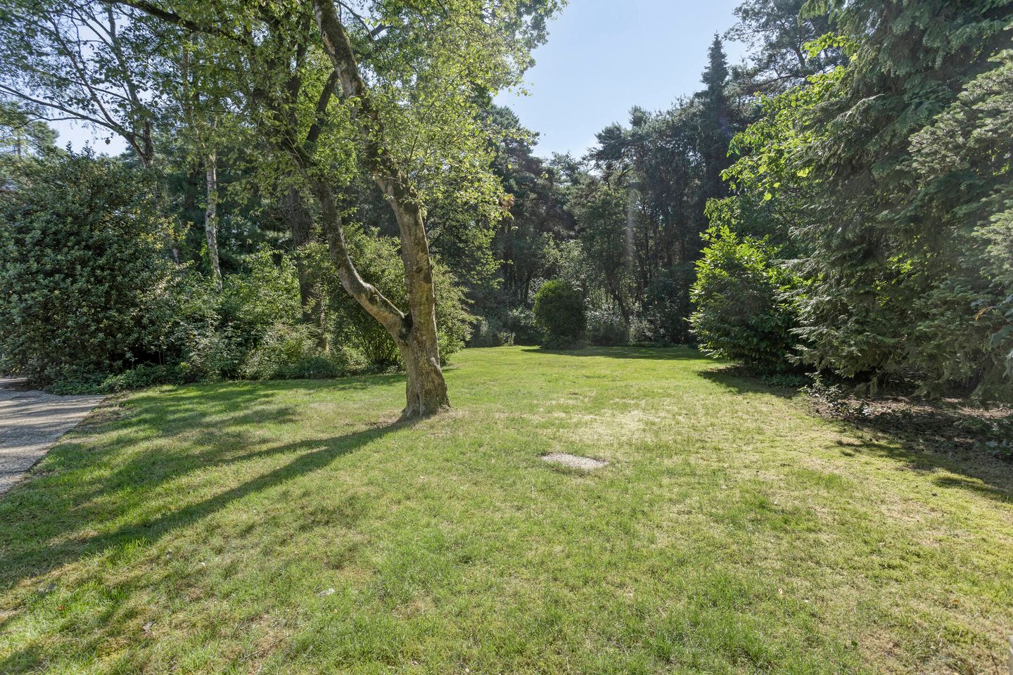 Foto 4 van Westelbeersedijk 95