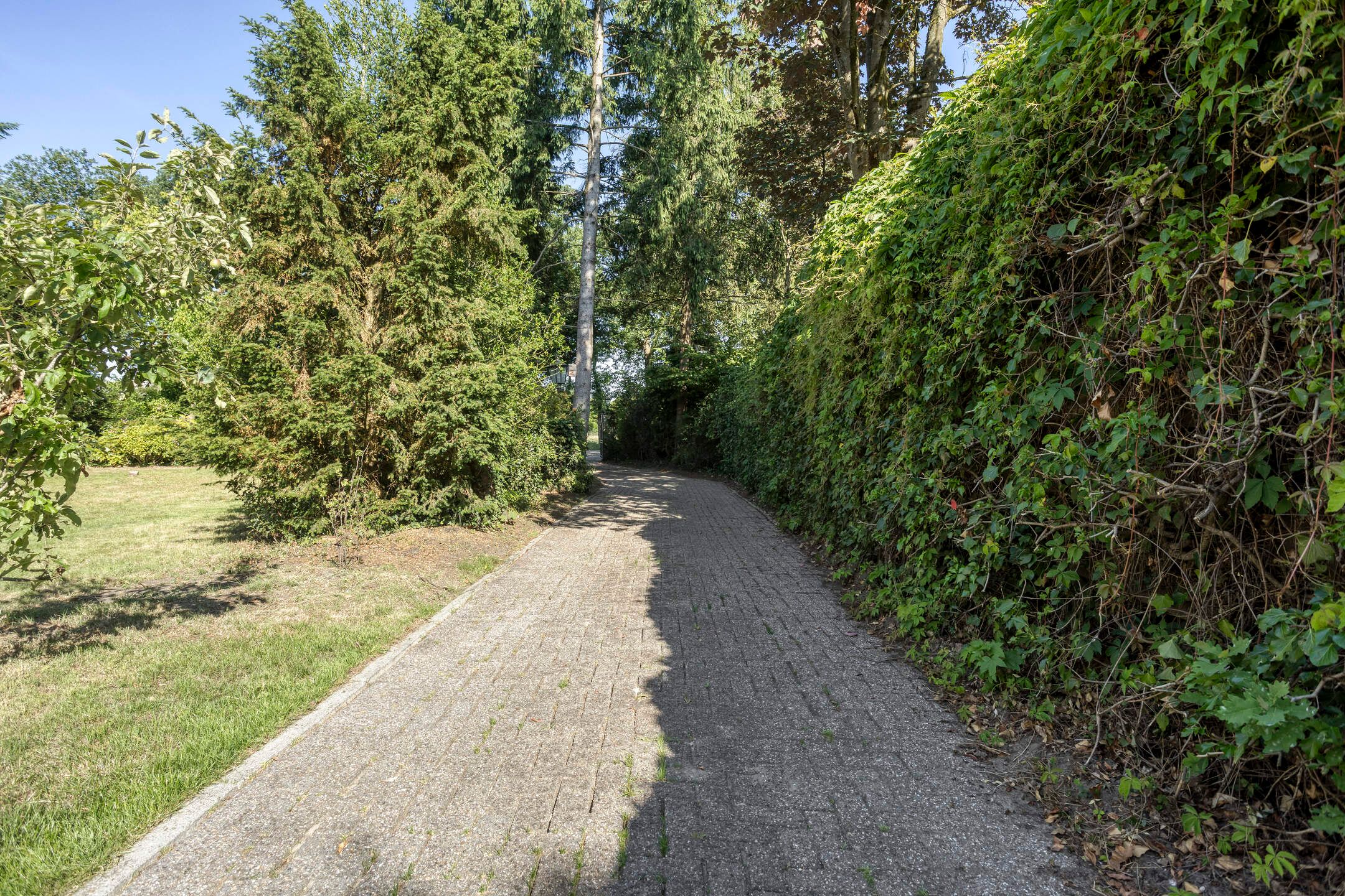 Foto 9 van Westelbeersedijk 95