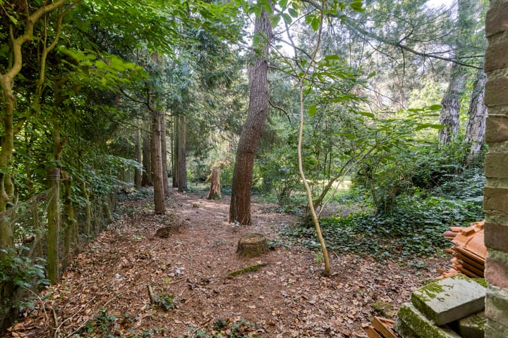 Foto 52 van Westelbeersedijk 95