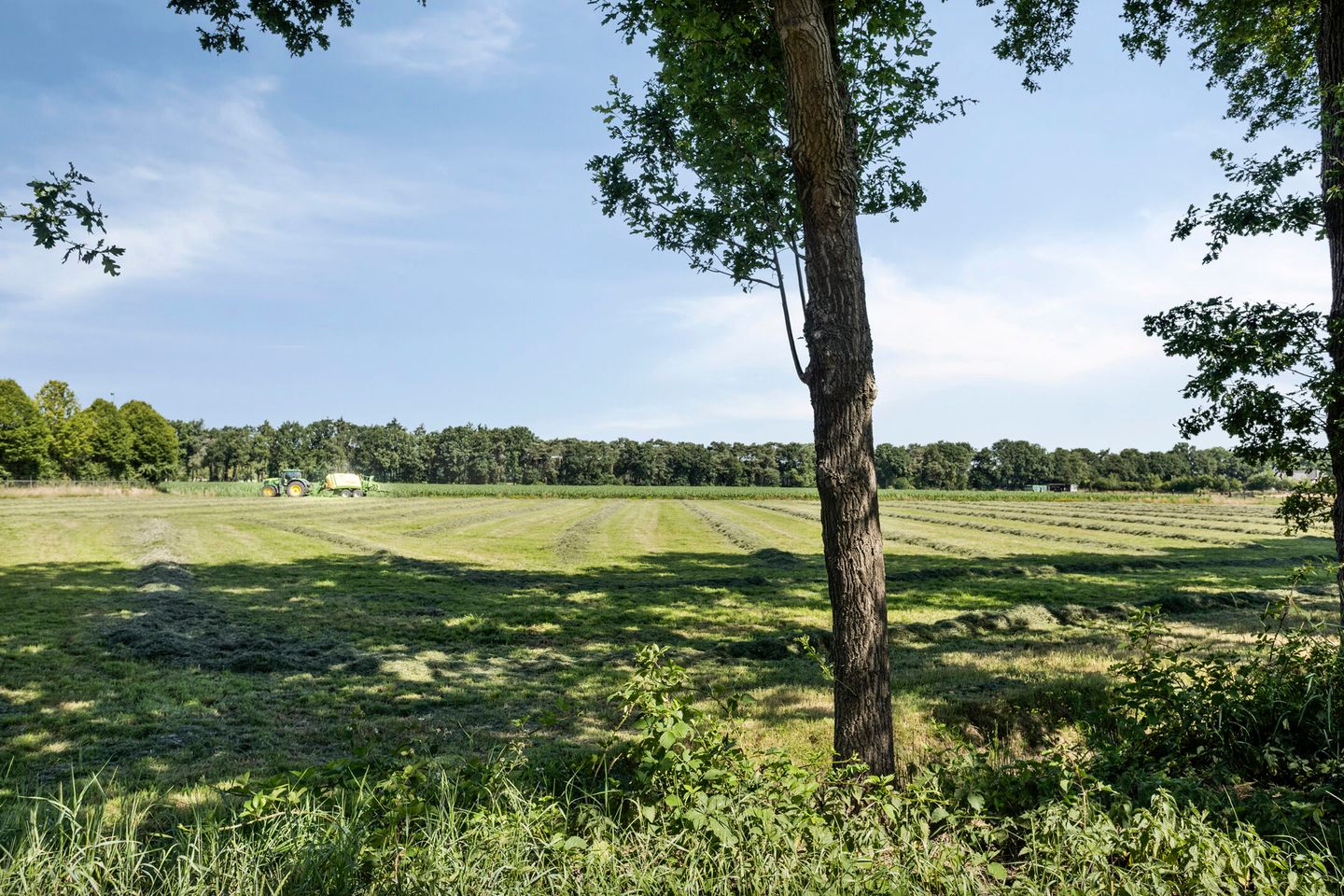 Foto 59 van Westelbeersedijk 95