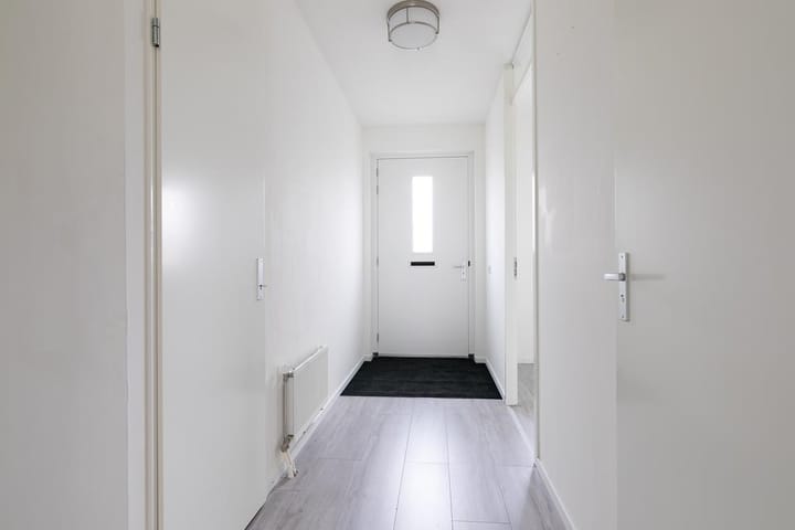 Foto 17 van Biesheuvelstraat 165