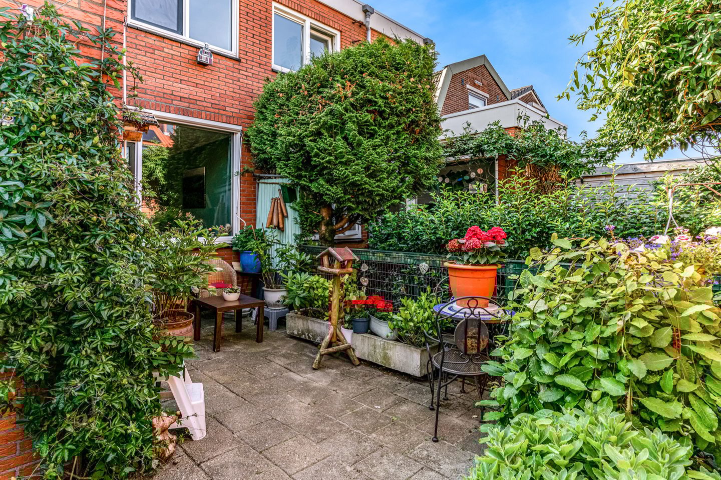 Photo 25 of Hanenpad 45