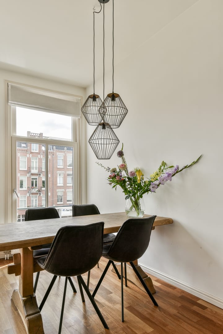 Foto 10 van Linnaeusstraat 12-2