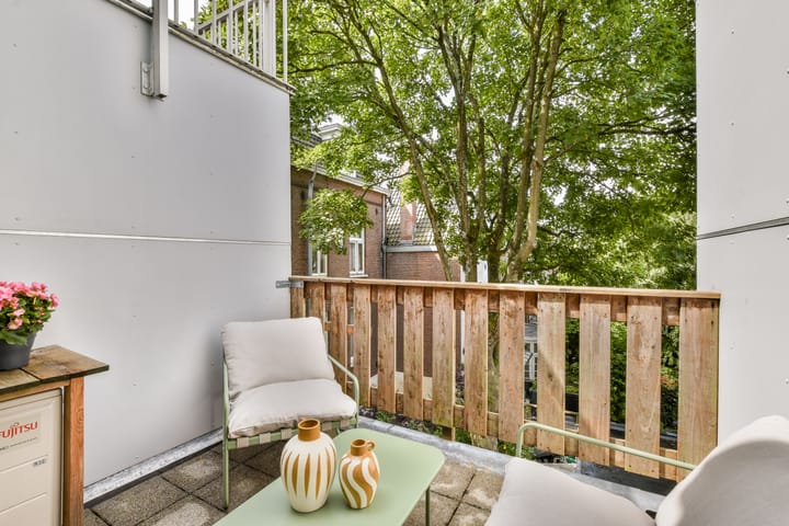 Foto 19 van Linnaeusstraat 12-2