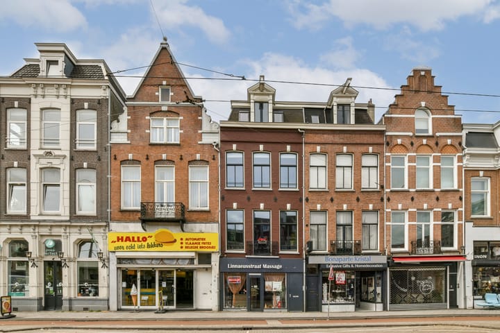 Foto 2 van Linnaeusstraat 12-2