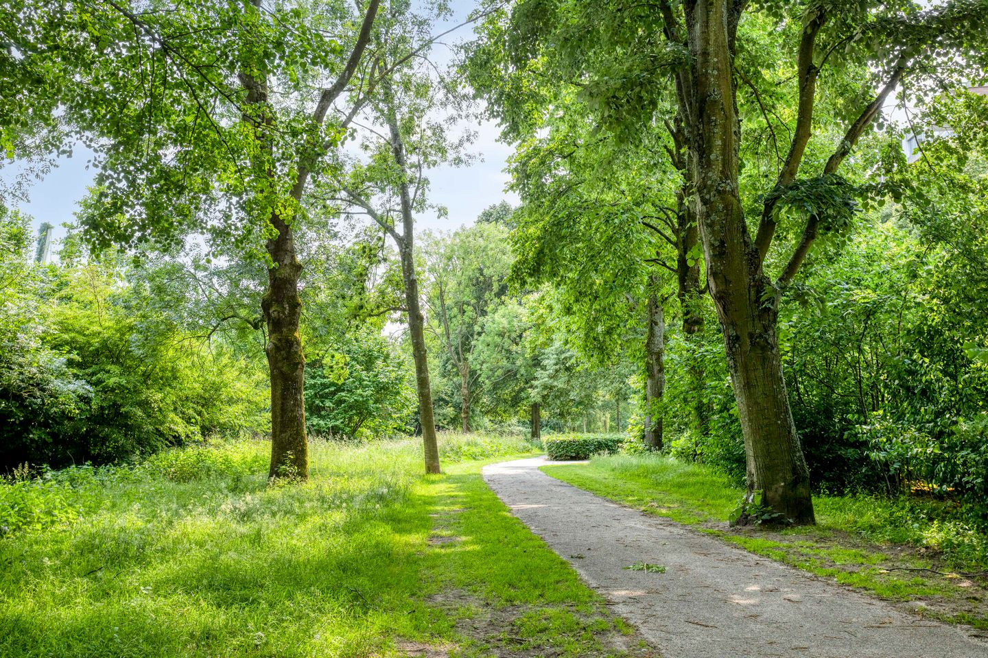 Foto 25 van Verdiweg 369