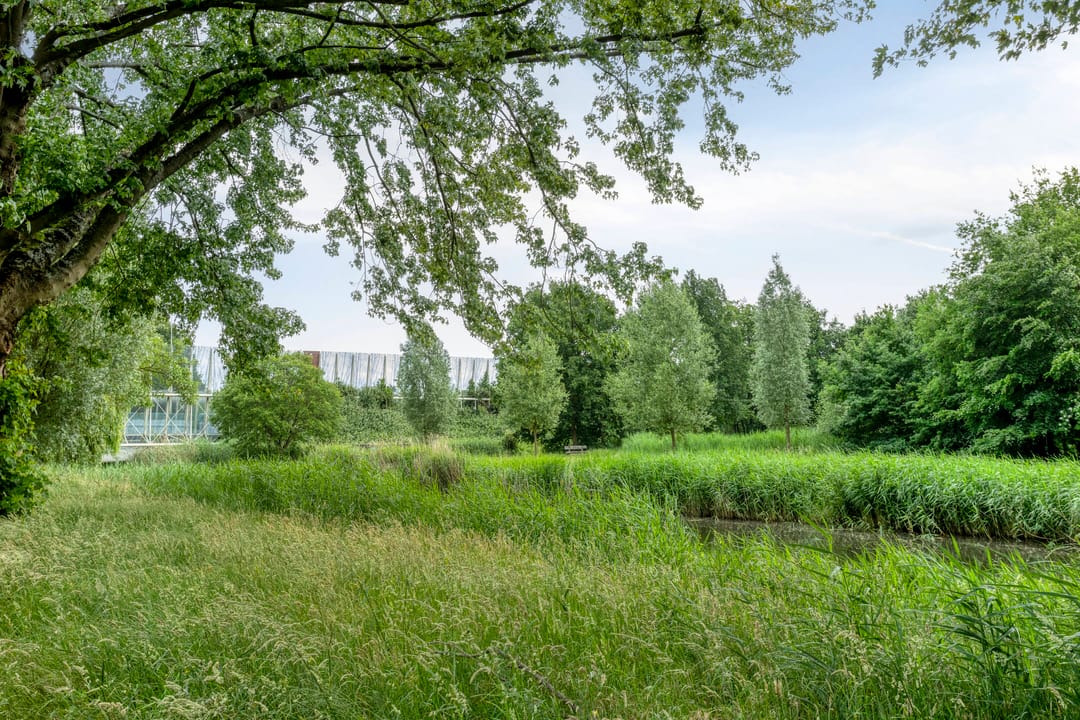 Foto 26 van Verdiweg 369