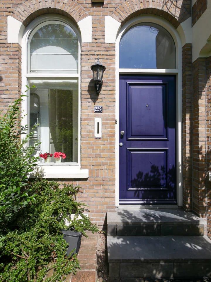 Foto 4 van Schenkkade 229