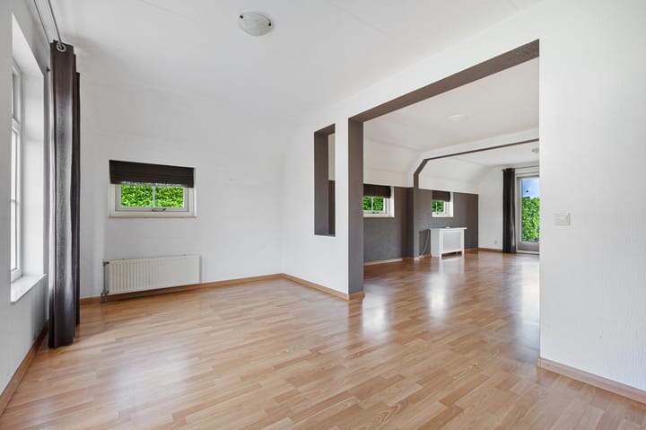 Foto 3 van Meerkoet 56