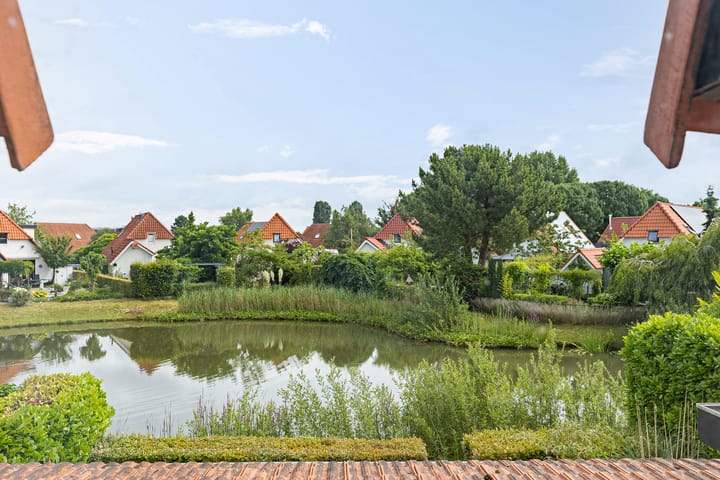 Foto 25 van Meerkoet 56