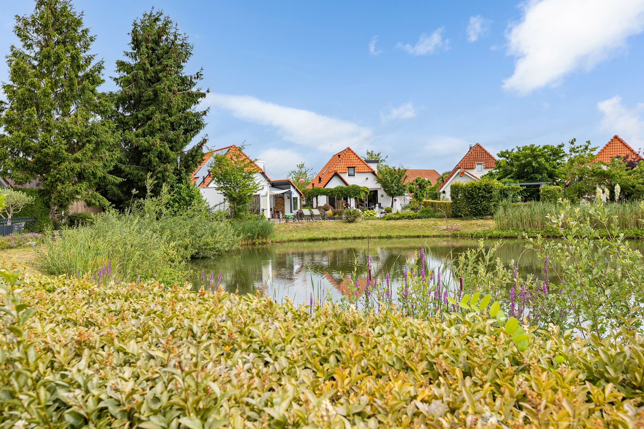 Foto 33 van Meerkoet 56