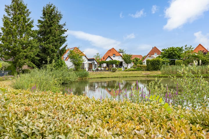 Foto 33 van Meerkoet 56