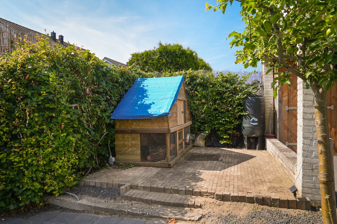 Foto 41 van Morelstraat 13