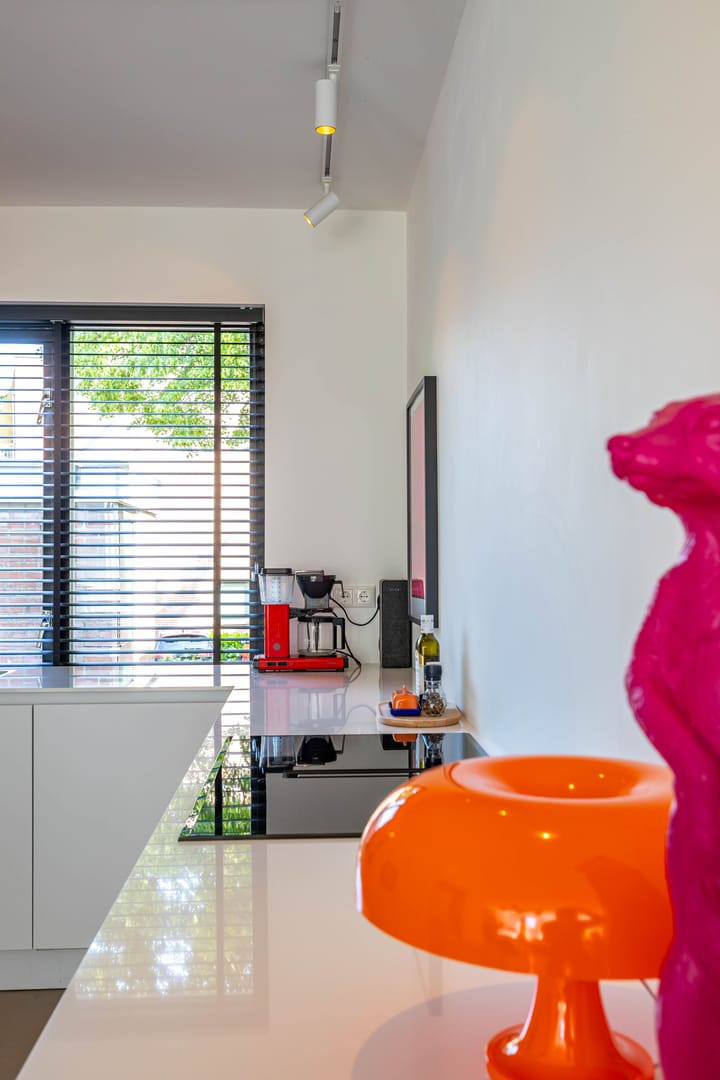 Foto 18 van Holtstek 40