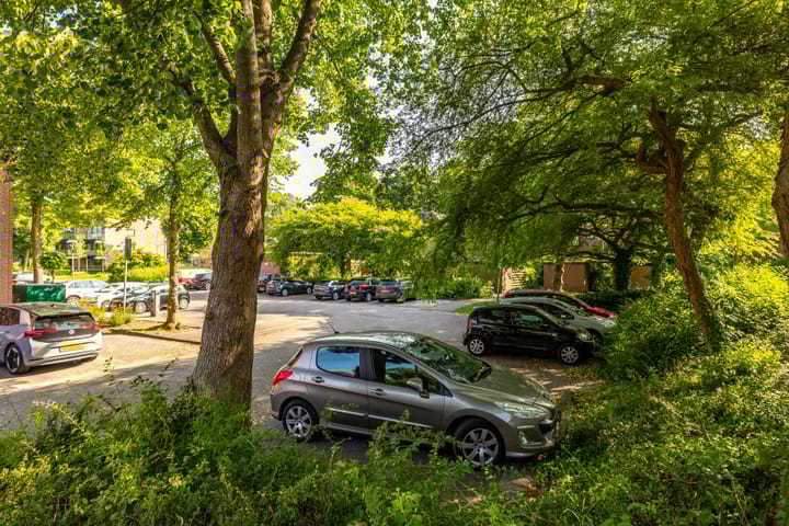 Foto 44 van Holtstek 40